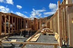 Framing-393x295