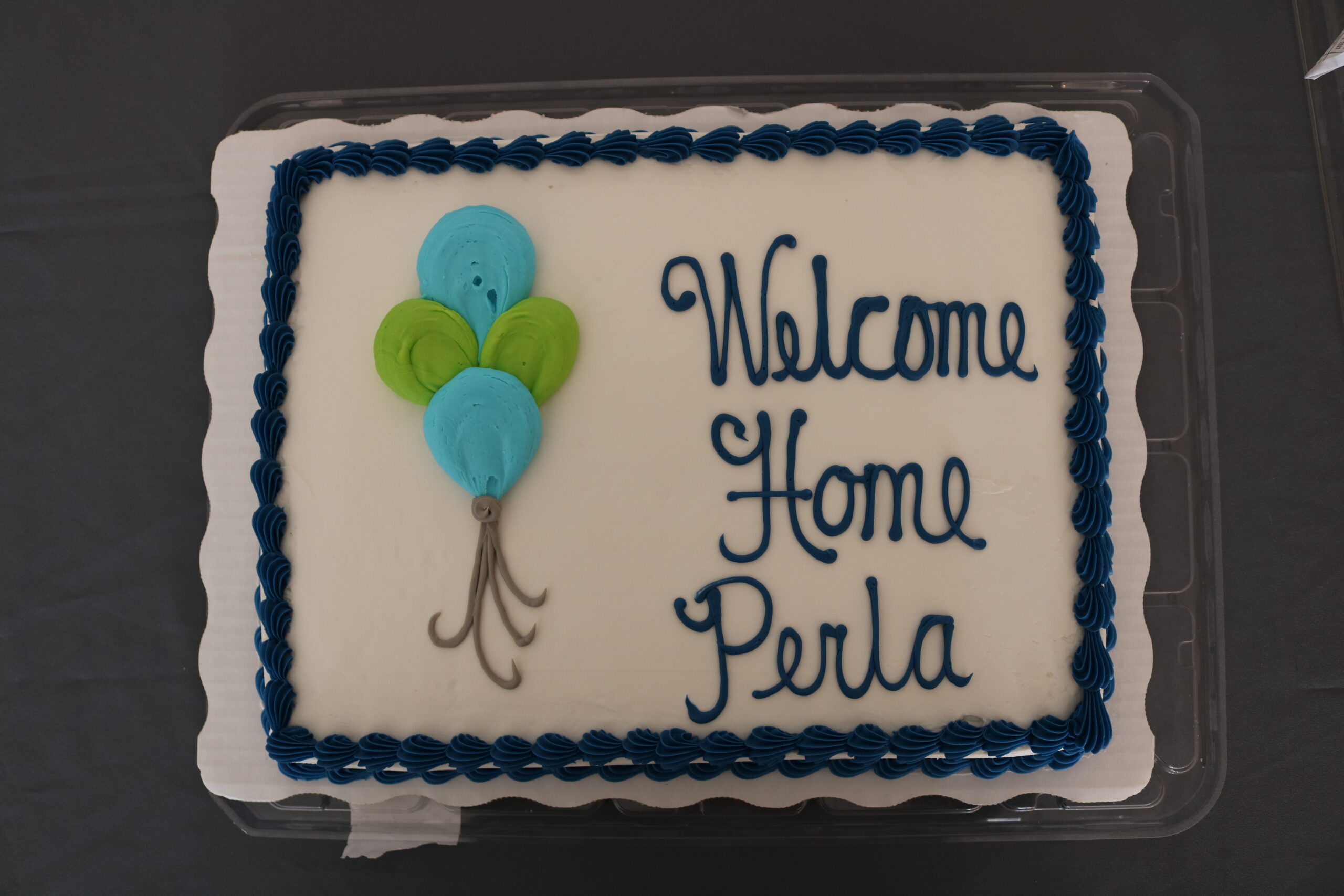 Cake that says "Welcome Home, Perla"