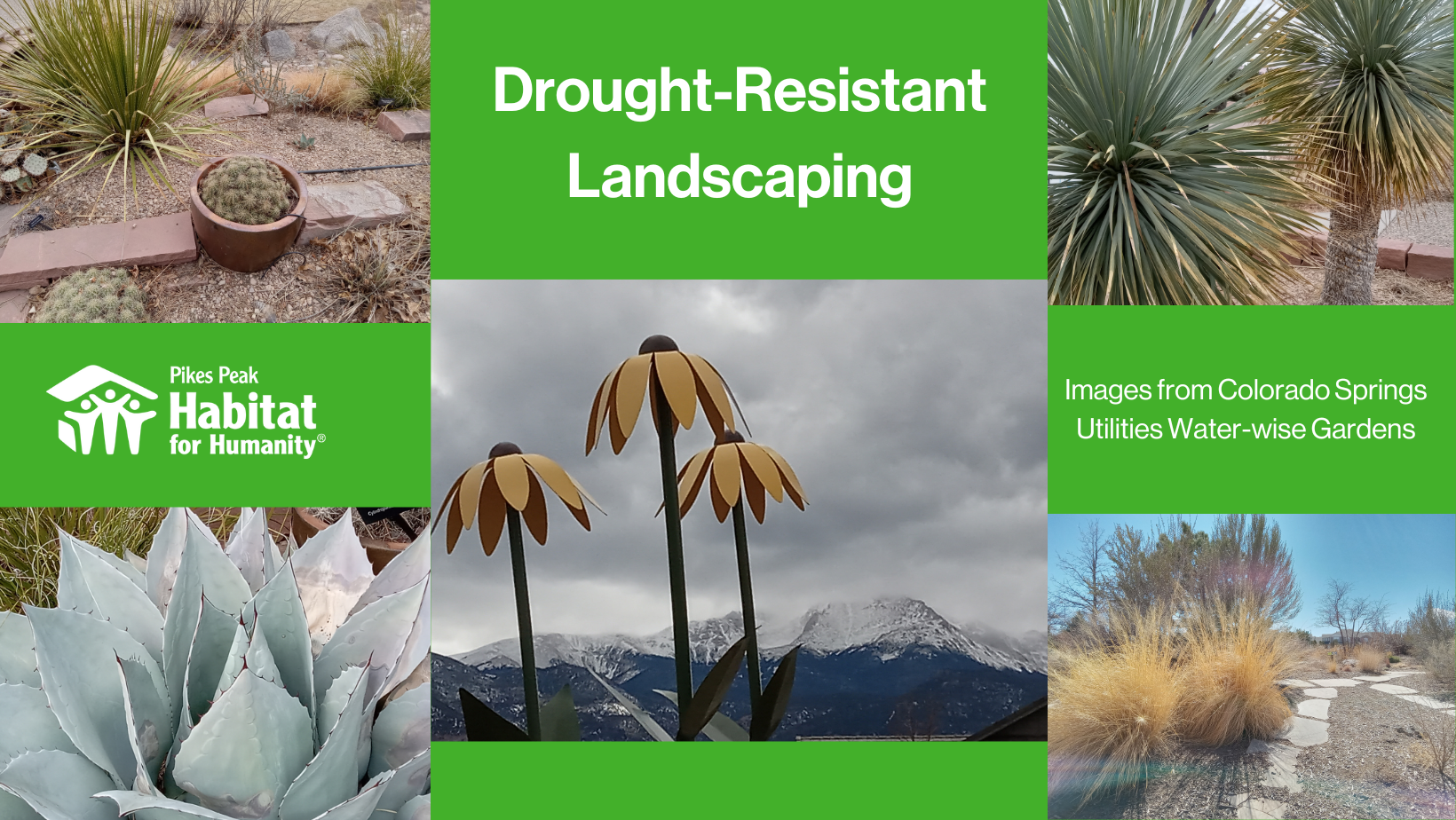 Drought-Resistant Landscaping page header with images from Colorado Springs Utilities Water-wise Gardens