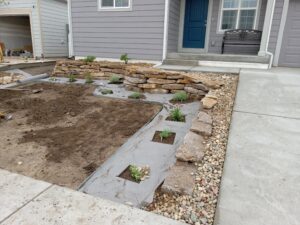 Newly placed plants and stone landscaping features