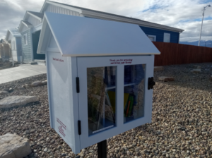 Little library with books inside