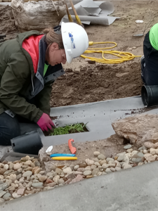 Woman placing plants in yard