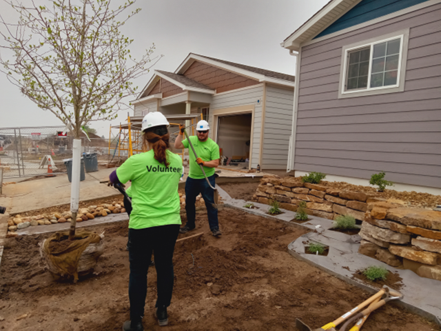 Volunteers plant a tree